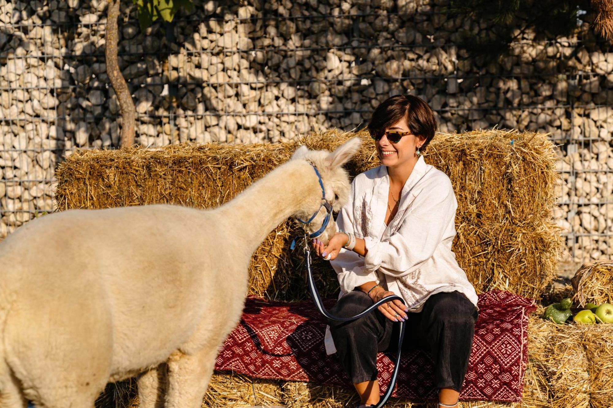 Hotel The Tribe Alpaca Retreat Branesti Esterno foto