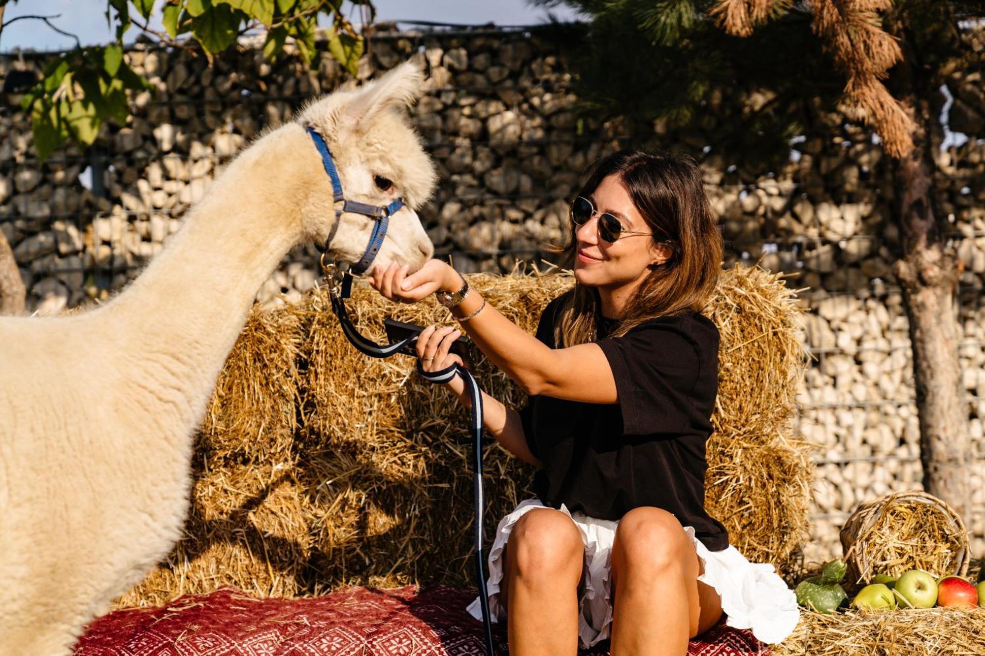 Hotel The Tribe Alpaca Retreat Branesti Esterno foto